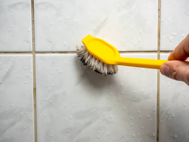 Best Professional Mold Removal  in Westerville, OH