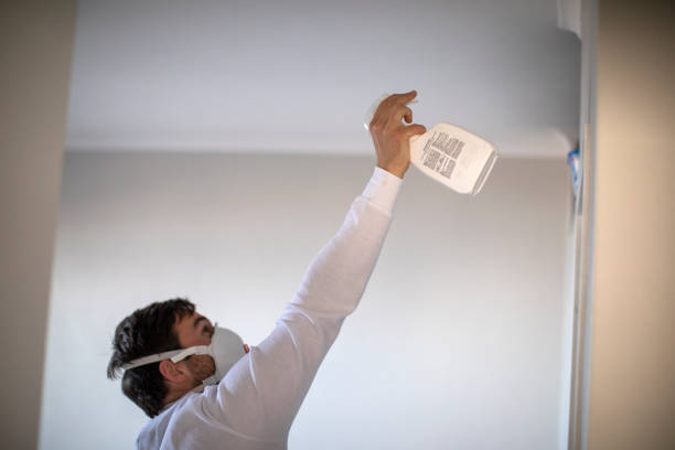 Best Mold Inspection  in Westerville, OH